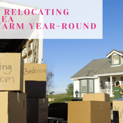 moving truck and boxes in front of a house on a sunny day