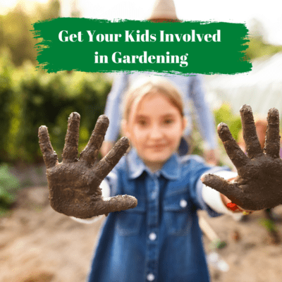 Get Your Kids Involved in Gardening