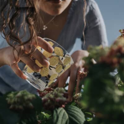 Why Your Garden May Not Be As Safe As You Think