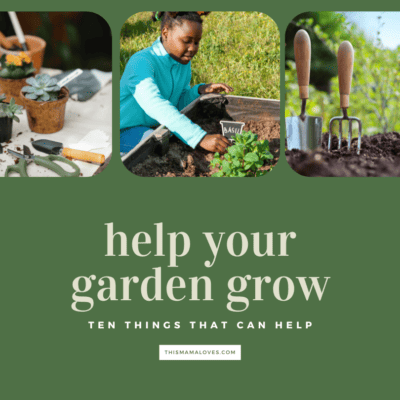 Ten Things That Can Help A Garden Grow