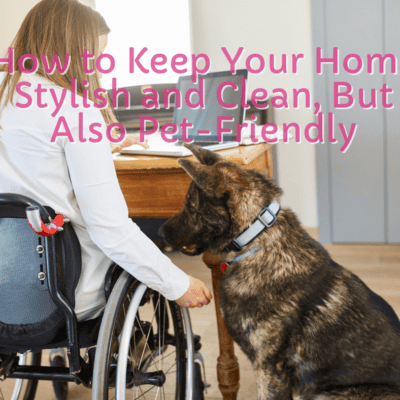 How to Keep Your Home Stylish and Clean, But Also Pet-Friendly